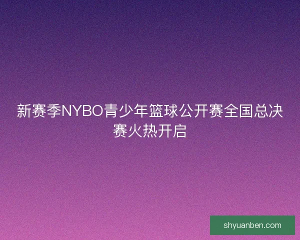 新赛季NYBO青少年篮球公开赛全国总决赛火热开启