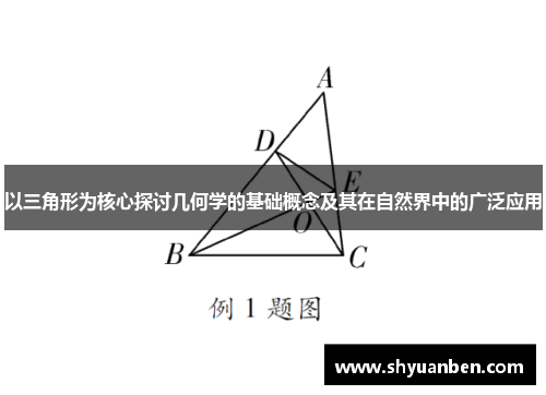 以三角形为核心探讨几何学的基础概念及其在自然界中的广泛应用